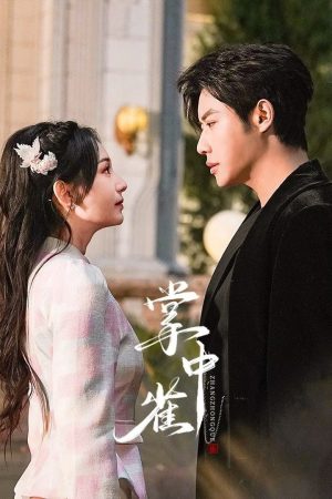 Chim Sẻ Trong Lòng Bàn Tay Chim Sẻ Trong Lòng Bàn Tay